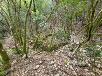 Excursión Senderismo Labastide-de-Virac - labastide pont d'arc - Photo