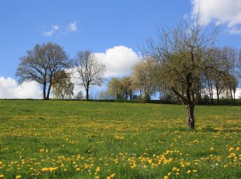 Tour Zu Fuß Ebersburg - Rhön-Rundweg 2 Weyhers - Photo