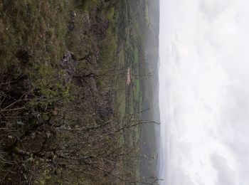 Trail Walking Le Clapier - guilhaumard - Photo