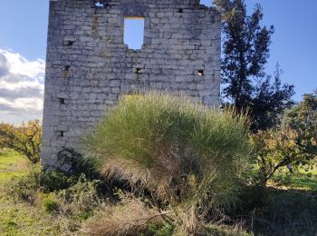 Excursión Senderismo Beaucaire - Beaucaire Mourgues du gres - pauvre ménage - Photo