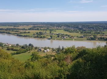 Randonnée V.T.T. Rives-en-Seine - foret de britnnes - Photo