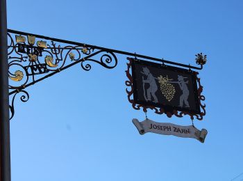 Tocht Te voet Elchingen - Postweg - Photo