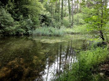 Tocht Te voet Döttingen - Beznau Steg - Stilli Brücke - Photo