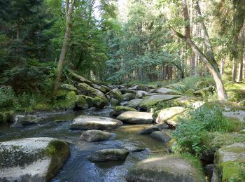 Tocht Te voet Windischeschenbach - Waldnaabtal Uferpfad - Photo