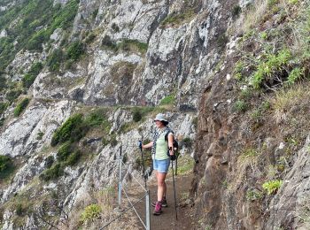 Tocht Stappen Porto da Cruz - Machico to Porto Da Cruz - Photo