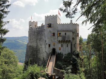 Randonnée A pied Gemeinde Thomasberg - Petersbaumgarten - Buchberg - Kienegg - Photo