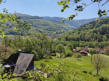 Trail Mountain bike Munster - Munster Gaschney Metzeral - Photo