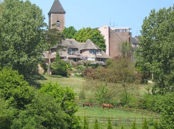 Trail Walking Tournai - RB-Ha-01 - Mont Saint-Aubert - 2024-10-29 - Photo