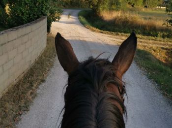 Tour Reiten Fronton - Trec 2 finalisé - Photo