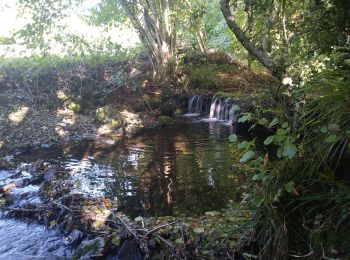 Randonnée Marche Masevaux-Niederbruck - Houppach - Photo