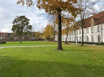 Randonnée Marche Termonde - Dendermonde 18,4 km - Photo