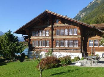 Randonnée A pied Wynau - Wynau - Aarwangen - Photo