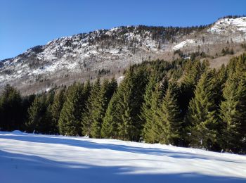 Trail Walking Doucy-en-Bauges - Bauges 2021 : Doucy-en-Bauge (Cul du Bois) - Crête du Mont Julioz (-12-20).ori - Photo