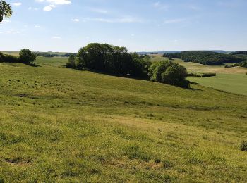 Tour Wandern Medewich - les hauts de Sain-Jean - Photo