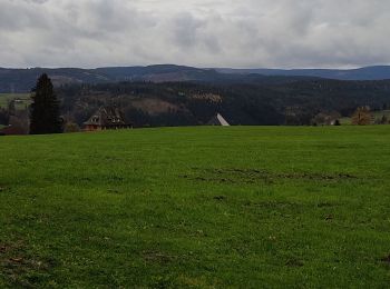 Tour Wandern Titisee-Neustadt - balade vers Saig - Photo