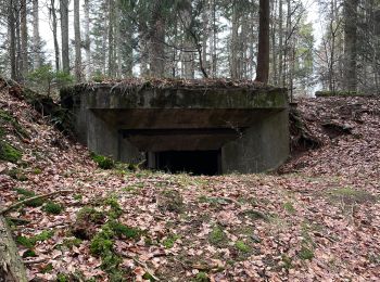 Tocht Stappen Grandfontaine - Positions fortifiées du Donon - sentier des casemates Sud - Photo