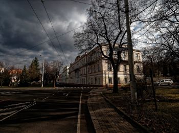 Tour Zu Fuß Teplitz - [Z] 3987 Okruh kolem Doubravky - Photo