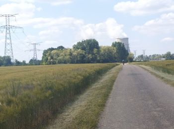 Tocht Fietstoerisme La Charité-sur-Loire - La Charité sur Loire à Châtillon sur Loire  - Photo