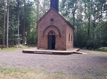 Tour Wandern Egelshardt - Notre Dame des Bois - Photo