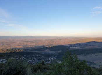 Trail Walking Moux - Le signal de  l'alaric - Photo