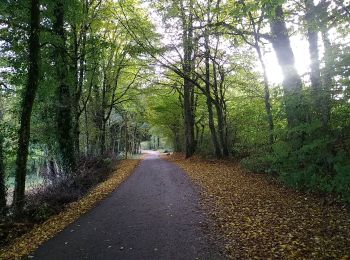Trail Walking Sentheim - Lac Seigneurie Soultzbach - Photo