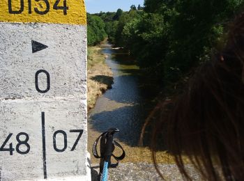 Excursión Senderismo Langogne - de langogne à la Bastide Puylaurent  - Photo