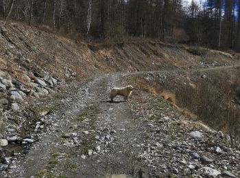 Trail Walking Valloire - Barrage du Ley via les Choseaux et la rive droite de la Valoirette - Photo