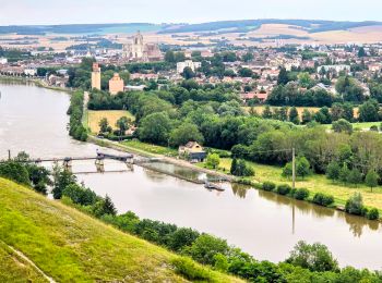 Randonnée A pied Villeneuve-sur-Yonne - Villeneuve Sur Yonne - Sens 32 km étape 1/3 - Photo