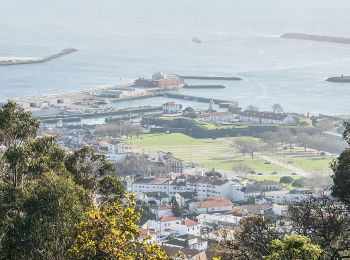 Tocht Te voet Viana do Castelo (Santa Maria Maior e Monserrate) e Meadela - Trilho dos Canos de Água - Photo