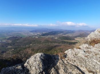 Randonnée Marche Manas - Manas-Pied Bazi-Ste Euphémie 6,5km - Photo