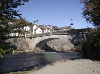 Tocht Te voet Saint-Pé-de-Bigorre - Lengous et Montagnou - Photo