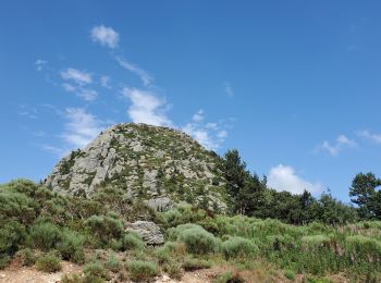 Trail Walking Saint-Martial - Le gerbier de jonc - Photo