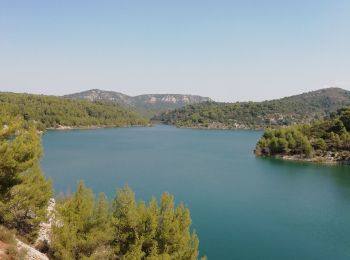 Excursión Senderismo Le Tholonet - Fred le Tholonet - Photo