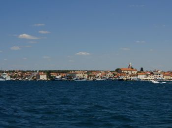 Percorso A piedi  - Pustograd - Photo