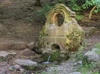 Excursión A pie Leányfalu - S+ (Dobos-hegy - Szentendre, Kéki kőbánya - Álló-rét) - Photo