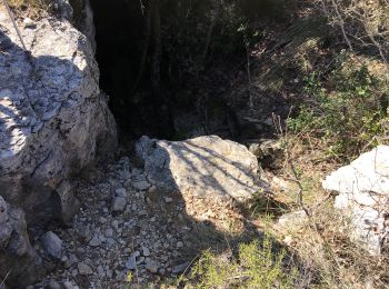 Tour Wandern Ferrières-les-Verreries - Ferriere les Verreries mars 2023 - Photo