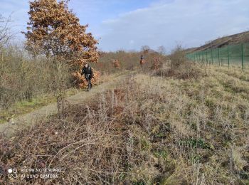 Randonnée Marche Wittenheim - Richwilller - Photo