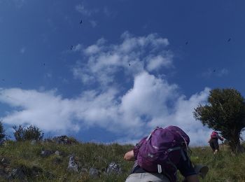 Excursión Senderismo Sarrance - troneduroyfait - Photo