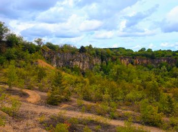 Randonnée Marche Saints-Geosmes - Boucle 18 km incluant Cohons et la source de la Marne - Photo