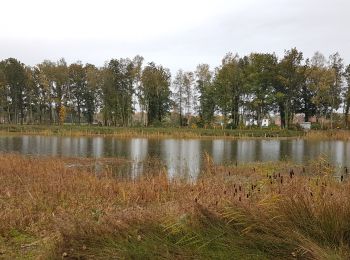 Randonnée Marche Diepenbeek - Diepenbeek - Photo