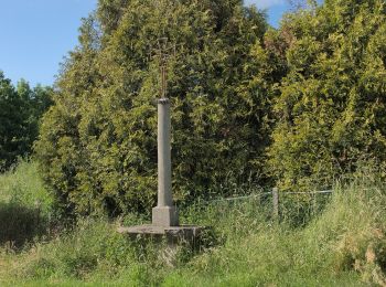 Tour Zu Fuß Saint-Jean-Bonnefonds - Ligne de Partage des Eaux - Photo