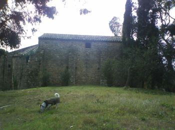 Randonnée A pied Calonge i Sant Antoni - SL-C 27 Puig ses Forques - Photo