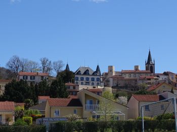 Trail Walking Mur-sur-Allier - Mezel-Dallet - Photo