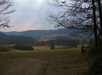 Tocht Te voet Pottenstein - Püttlach-Hohenmirsbach - Photo