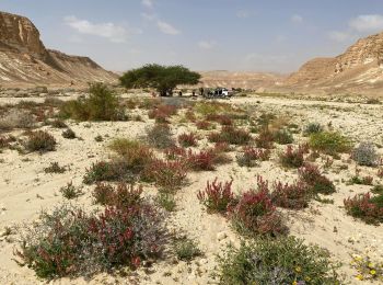 Trail On foot Central Arava Regional Council - IL-17431 - Photo