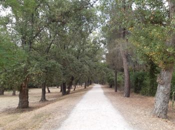 Excursión Senderismo Le Boulou - Le boulou - Saint Jean pla de corts via le lac  - Photo