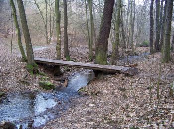 Trail On foot Černolice - NS Putování Černolickem - Photo