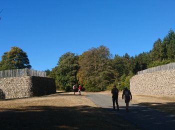 Tocht Stappen Saint-Léger-sous-Beuvray - 190920-Morvan-3 - Photo