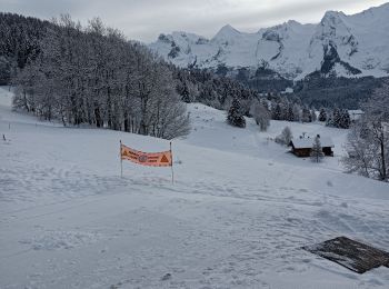 Randonnée Raquettes à neige Le Grand-Bornand - Le Balcon des Aravis - Photo