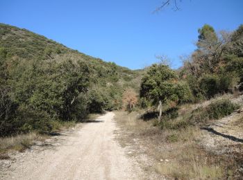 Randonnée Marche Lauris - PF-Lauris - Circuit de Recaute - Photo